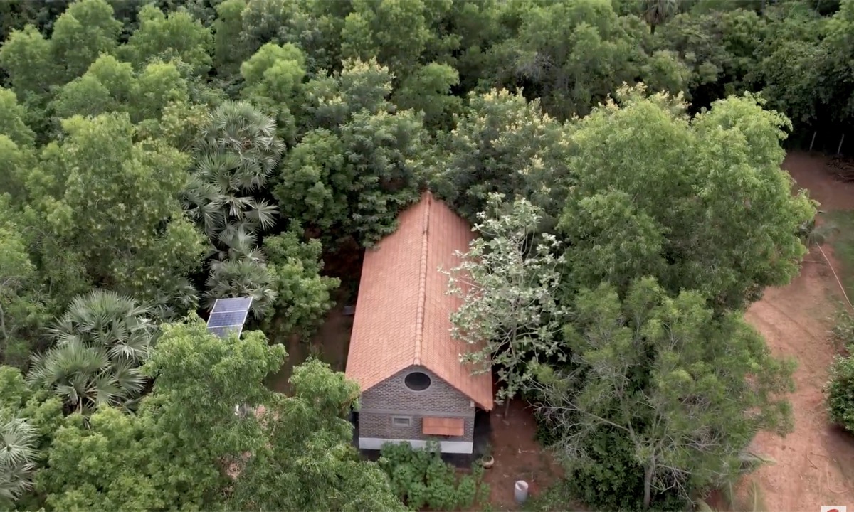 Organic Jungle Villa